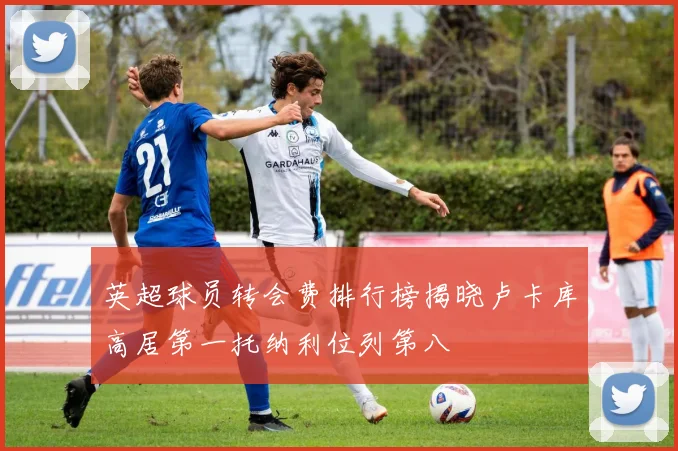 英超球员转会费排行榜揭晓卢卡库高居第一托纳利位列第八